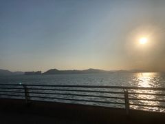 -演武大桥观景平台