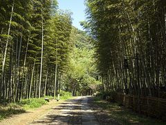 -黄公望隐居地