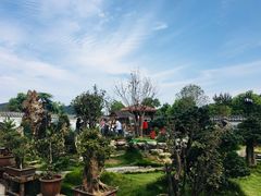 -绿色菜园·农家土菜(贤山店)