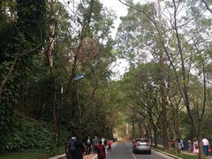 -南国桃园旅游度假区