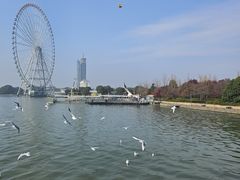 -蠡湖大桥公园