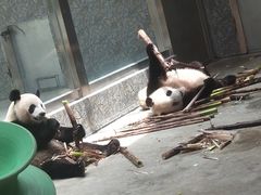 -西安秦岭野生动物园