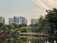 -深圳龙潭公园