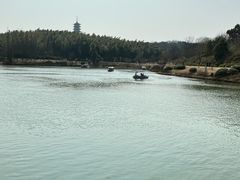-宜兴龙背山森林公园