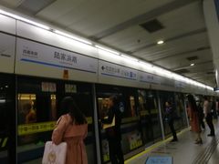-陆家浜路(地铁站)