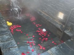 -北京美神宫艺术主题温泉酒店