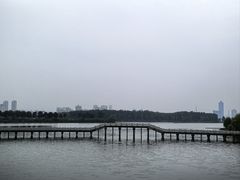 -金银湖国家城市湿地公园
