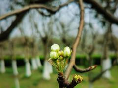 -白塘生态植物园