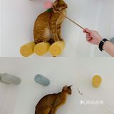 撸猫胜地🌵利路修同款未卡猫空间