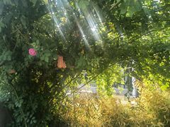 -河风の幸会精致料理