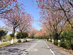 -西昌邛海湿地-月亮湾景区