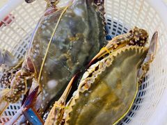 -港畔赶海蒸汽海鲜烧烤自助(仙螺岛店)