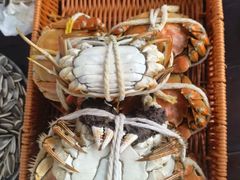 -乡乐园蟹庄·阳澄湖农家乐