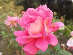 -共青国家森林公园-售票处