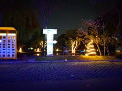 -枫花园汽车电影院(朝阳公园店)