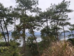 -千岛湖天屿景区