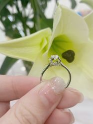-钻石小鸟钻戒婚戒定制(石路店)