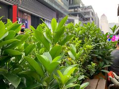 -去茶山(新光里店)