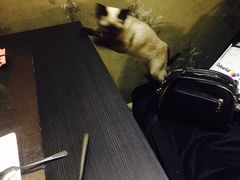 -吱咖啡西式简餐