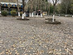 -长白岛森林公园