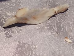 鱼仙人骨-山外山菜馆(玉泉路店)