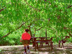 -北马山庄植趣咖啡