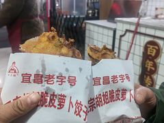 -半月镰胡姐脆皮萝卜饺子