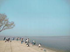-白洋淀景区