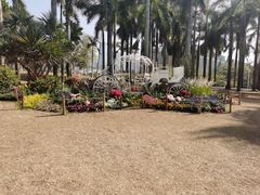 -莲花山公园
