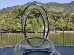 -银湖山郊野公园-相思林