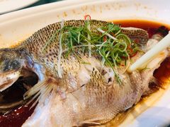 清蒸鲈鱼-玉林烤鸭店(定福庄店)