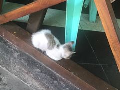 -D'Talipapa