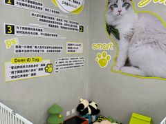 -上海浦东smart汽车全功能店(金桥店)