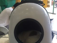 -瑞鹏宠物医院·骨科·猫科·内科(第一中心)