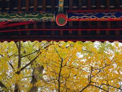 -金堂县云顶石城风景区