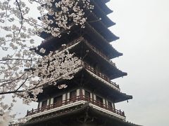 -宜兴龙背山森林公园