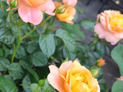 -一澜江宴·江景地标楚菜(江滩公园店)
