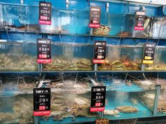 水产区-海味当家·蒸锅海鲜(星海公园店)