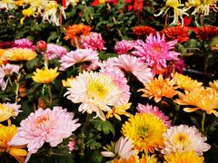 -咸阳湖景区-统一广场