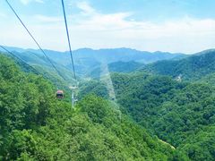 -栾川竹海野生动物园