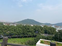 -树山生态村
