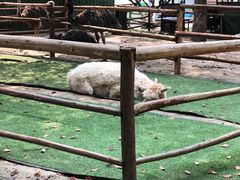 -秀丽东方