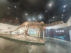 -衢州市博物馆