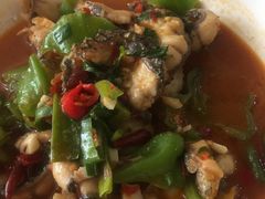 财鱼-洪光水鱼(丁字桥路店)