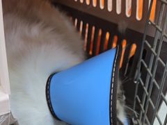 -联合动物医院(光谷诊疗中心)
