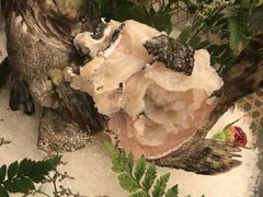 -锦江宾馆-花园餐厅