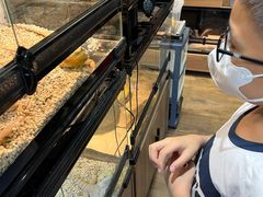 -酷以爬仙阁实体爬宠店·守宫·蜥蜴·专业繁育