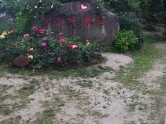 -鹅湖玫瑰文化园