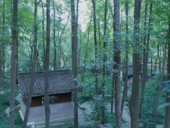 -中国茶叶博物馆(双峰馆区)