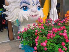 -海合安武汉极地海洋公园